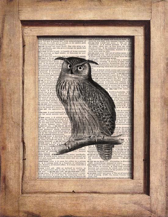 Art Print, Vintage, OWL, Dictionary Page Print 0095