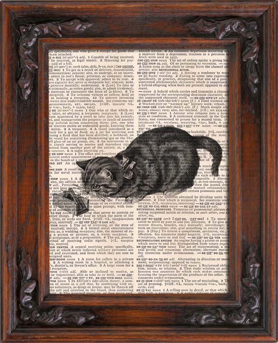 Art Print, Vintage, CAT, Dictionary Page Print 0088
