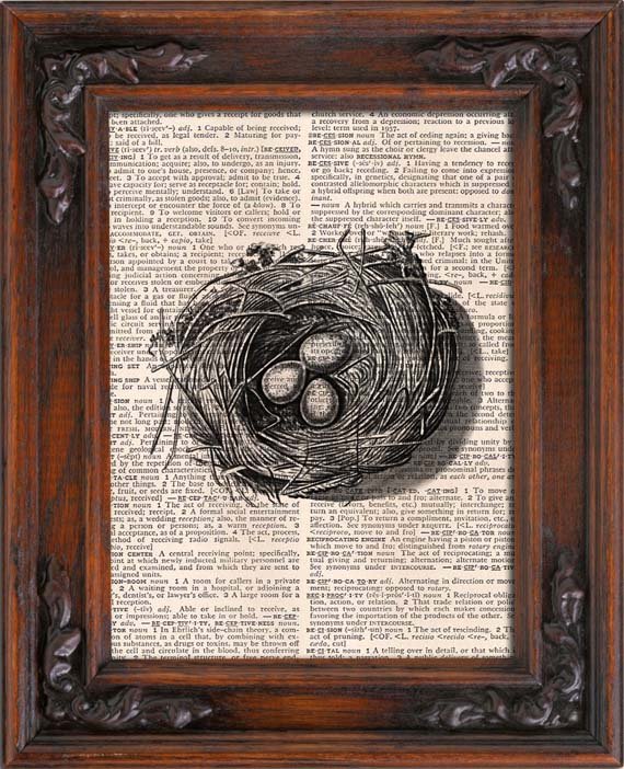 Art Print, Vintage, Bird NEST, Dictionary Page Print 0082