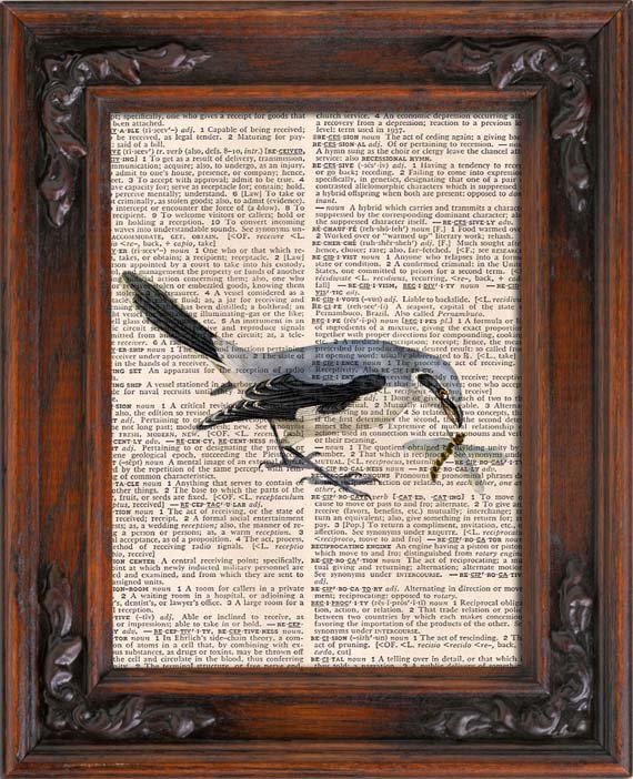 Art Print, Vintage, Bird, Dictionary Page Print 0080