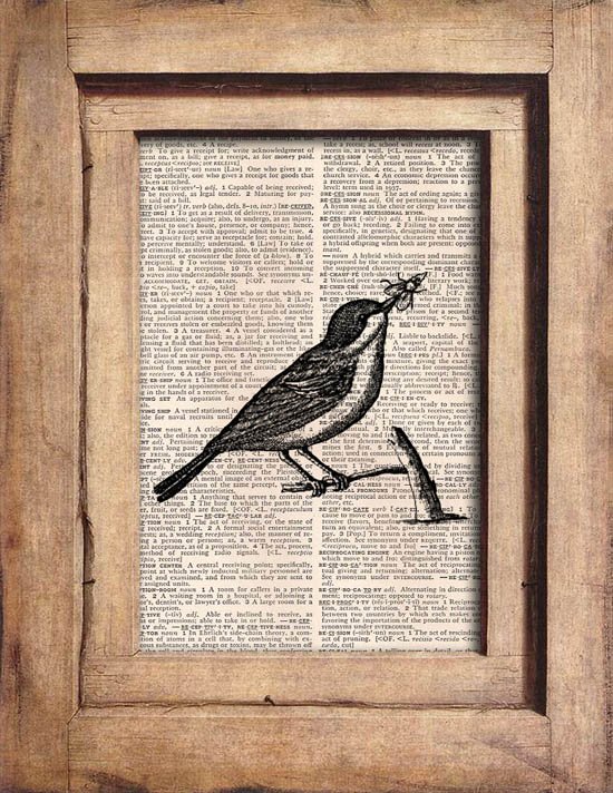 Vintage, Bird, Dictionary Page Print 0073