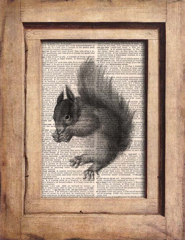 Vintage Squirrel Dictionary Page Print 0065