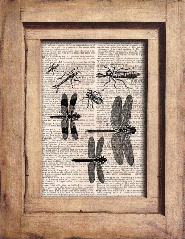Vintage Dragonfly Dictionary Page Print 0063