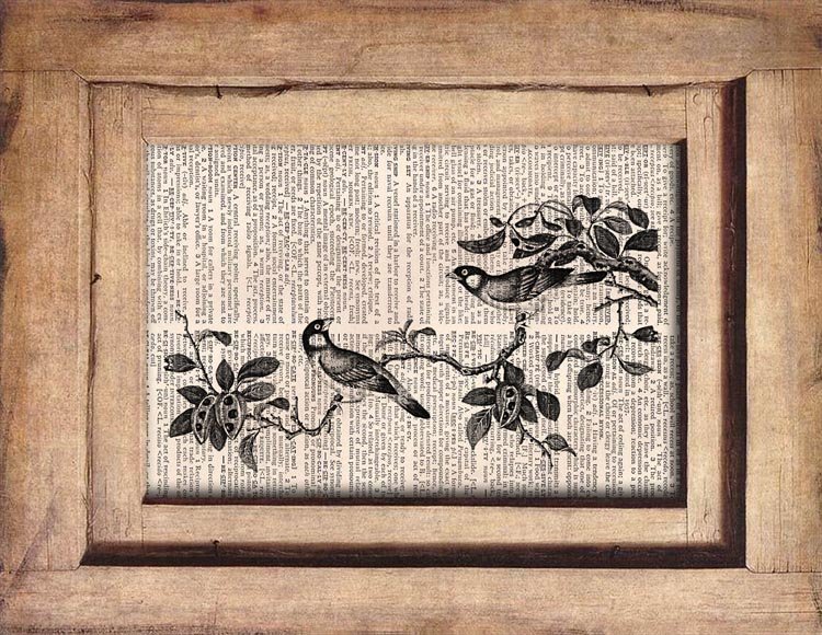 Vintage Birds Dictionary Page Print 0039