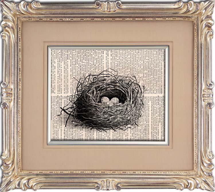 Vintage Bird Nest Page Print 0036