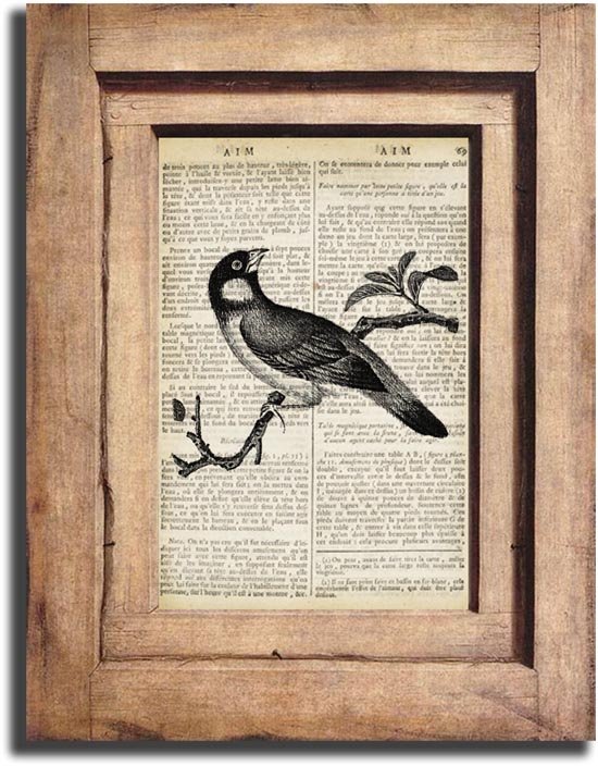 Art Print Vintage Bird Dictionary Page Print 0031