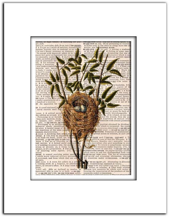 Vintage Bird Nest, Birds, Dictionary Page Print 0030