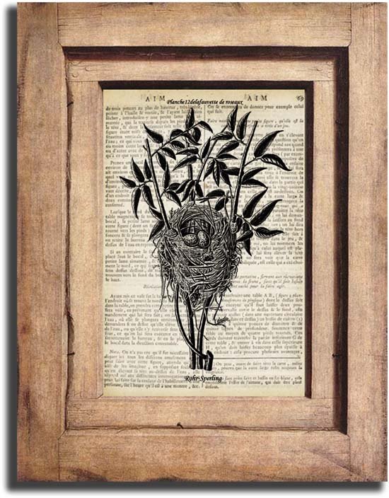 Vintage Bird Nest, Birds Dictionary Page Print 0028