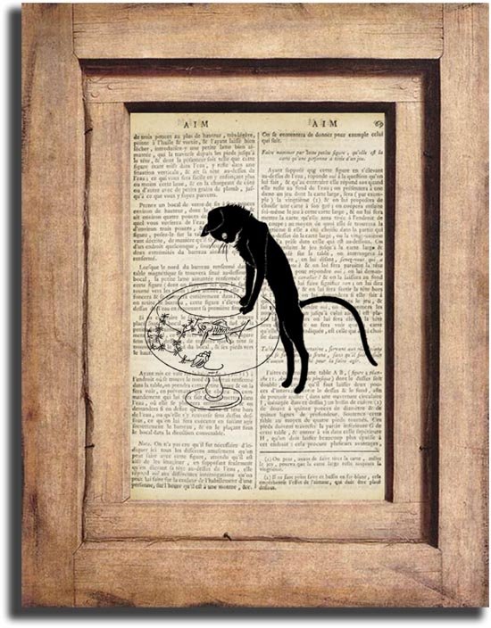 Art Print, Vintage CAT Dictionary Page Print 0015