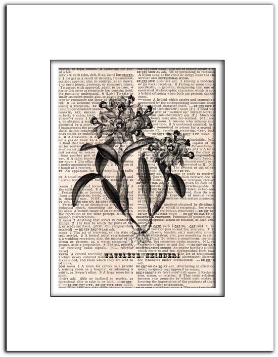Art Print Vintage CATTLEYA SKINNERY Dictionary Print 0003