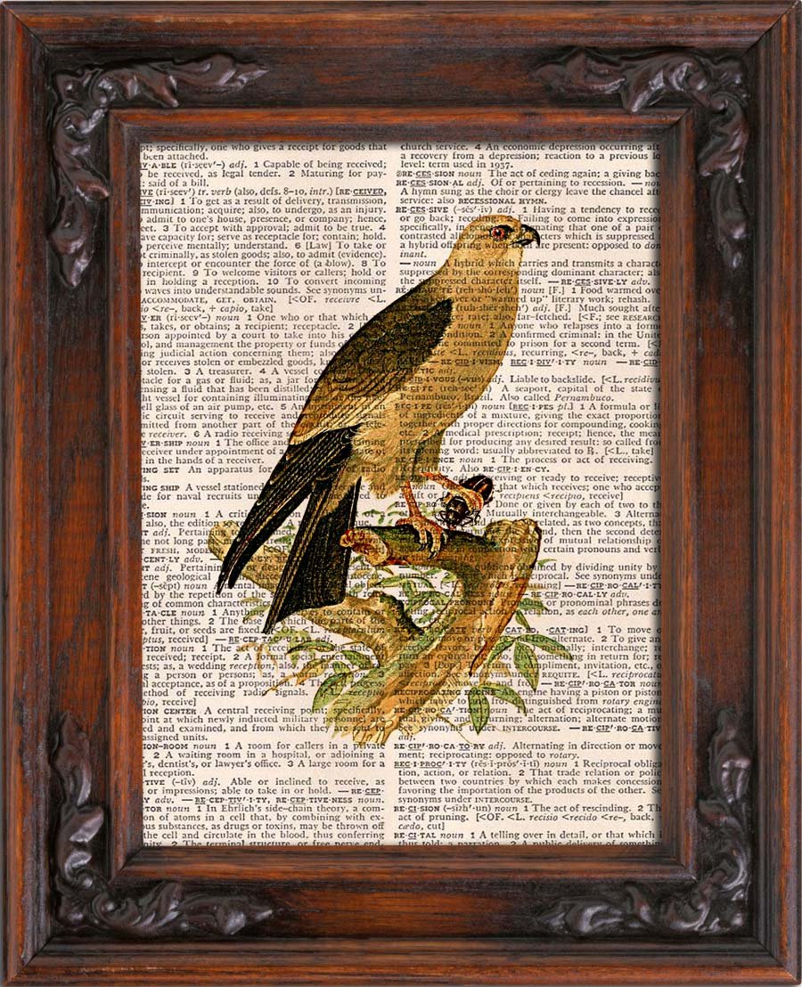 Vintage RENAISSANCE SUN Dictionary Page Print 0009