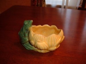 Shawnee Frog on Lotus