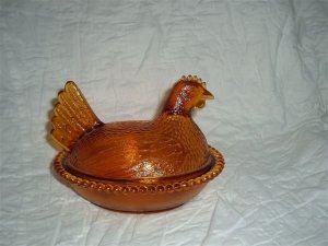 Amber Hen on Nest