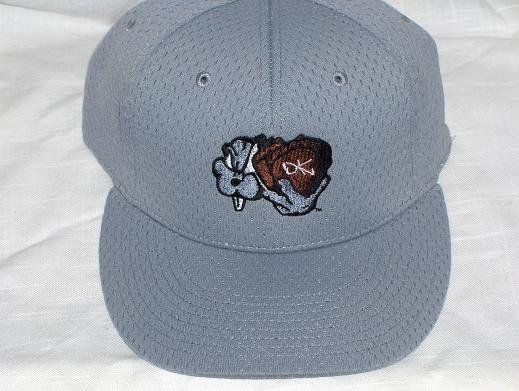 DK-flexfit cap