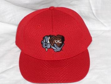 DK- Flexfit caps