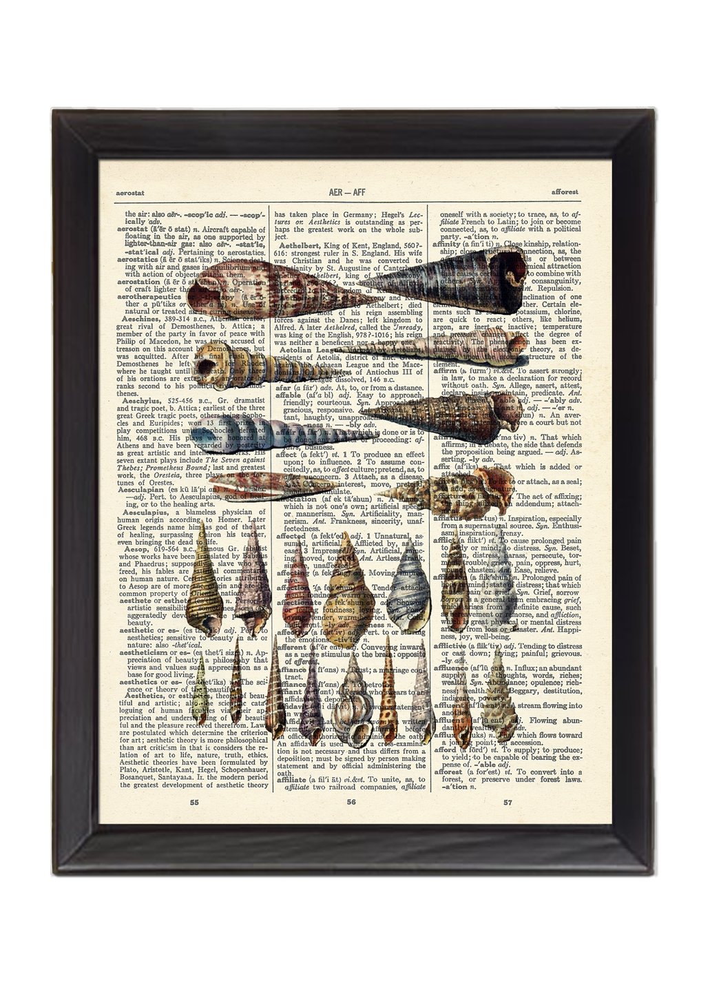 Spiral Sea Shells Printed On 1900's Dictionary Page 8x10