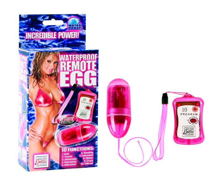 Waterproof remote egg