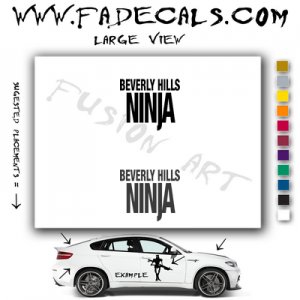 Beverly Hills Ninja Movie Logo Decal Sticker
