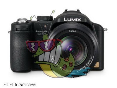 Panasonic - Lumix FZ50 (black)