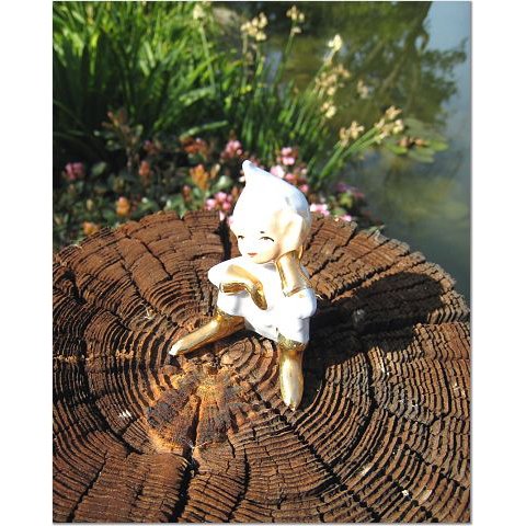 Ernest Finds a Tree Stump 8x10 photo