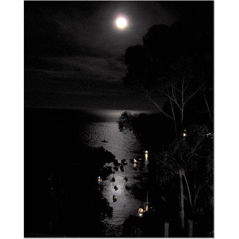 Full Moon Over Catalina 8x10 photo