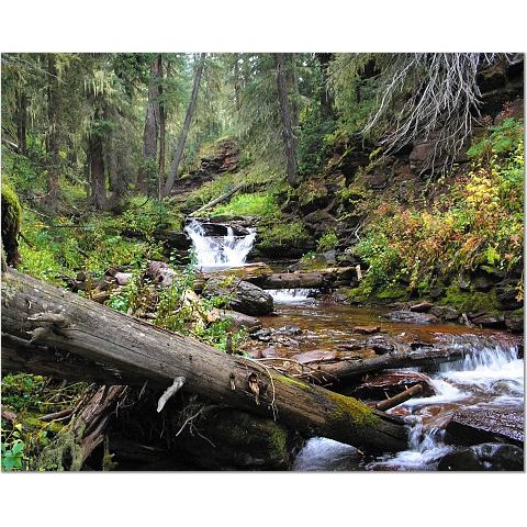 Colorado Creek 8x10 photo