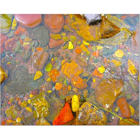 Rocks in Stream 8x10 photo