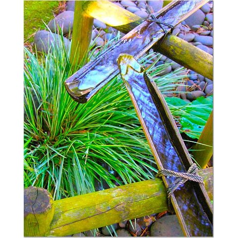 Bamboo Waterway 8x10 photo