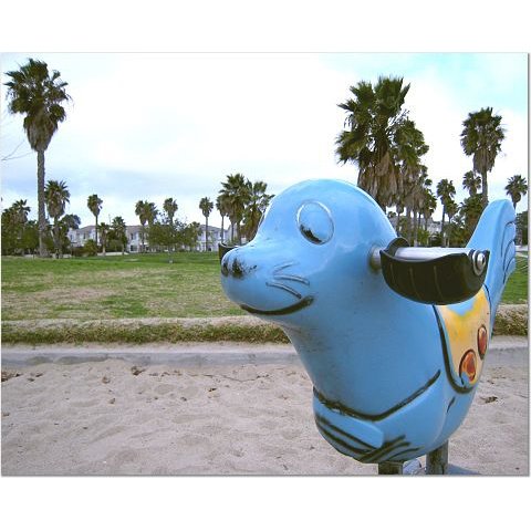 Playground Seal 8x10 photo