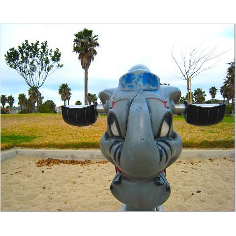 Playground Elephant 8x10 photo