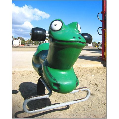 Playground Frog 8x10 photo