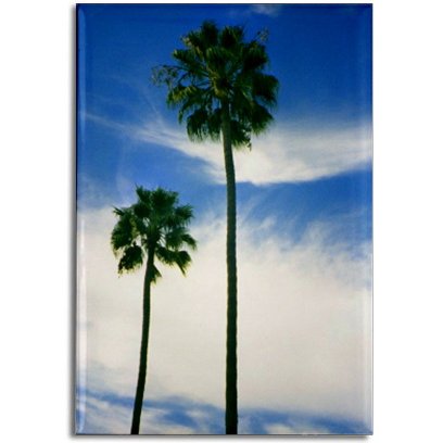 Palm Trees Magnet
