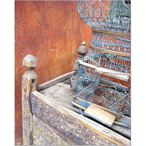 Birdcage with Burnt Orange 8x10 photo