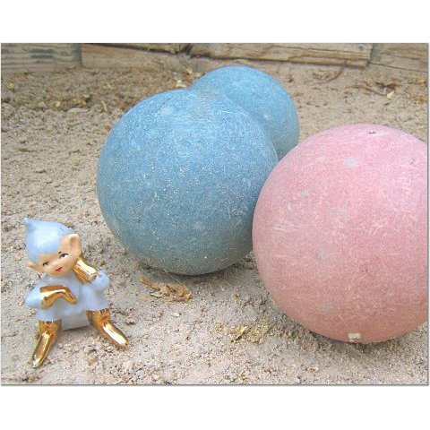 Ernest Plays Bocce Ball 8x10 photo