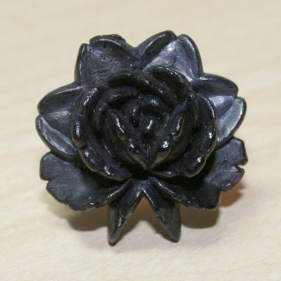Midnight Bloom