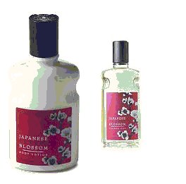 Japanese Cherry Blossom Set