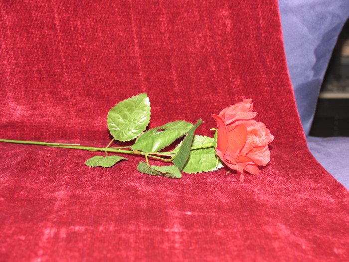 Musical Flower