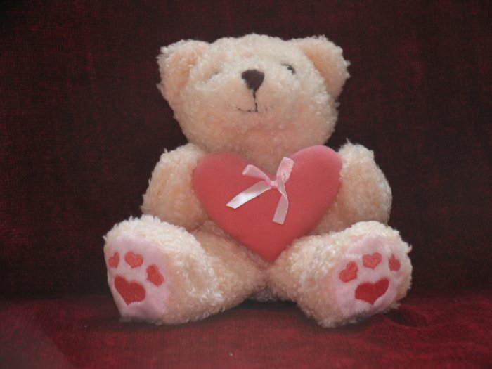 Pink Teddy Bear