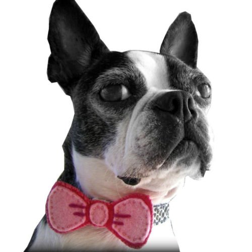 Dog Collar Bow- Pet Collar Attachment (MORE COLORS)