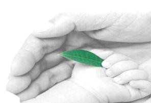 Manage your CO2 generation per capita