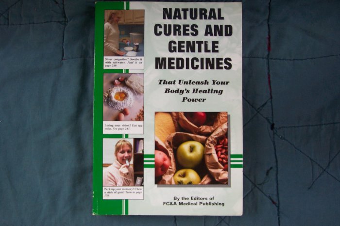 Natural Cures and Gentle Medicines, paperback