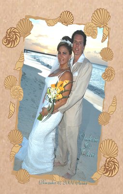 Sandy Shells One Main Photo Wedding Photo Thank You Card
