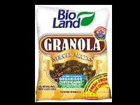 Granola nueces