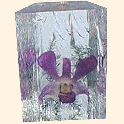 Display and paper weight