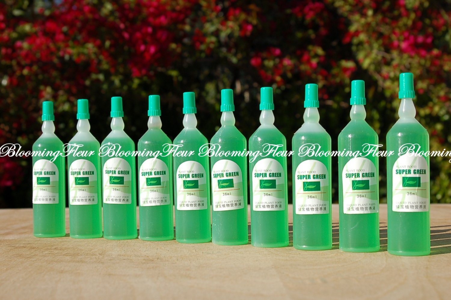 10 btls SUPER Green LUCKY Bamboo Plant Food FERTILIZER