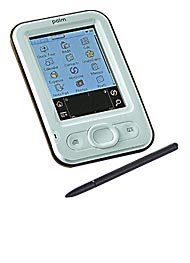 Palm