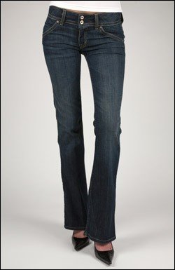 HUDSON SIGNATURE JEAN IN DIVINE