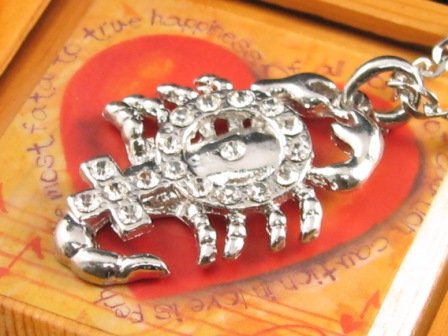 SN119 Elegant Crystal Scorpion Silver Pendant Necklace Best Gift Idea