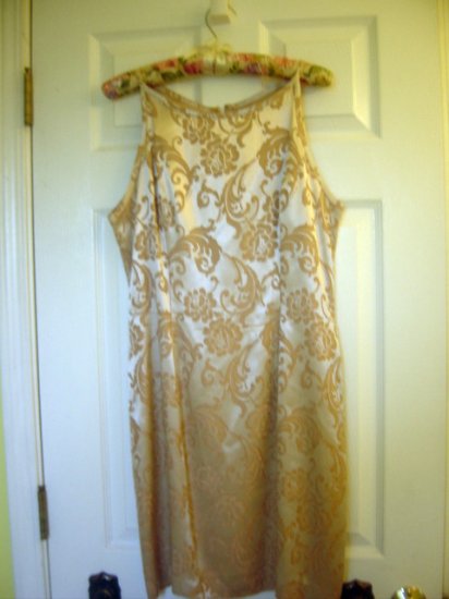 CDC Silky Paisley Womens Dress GORGEOUS! sz 10