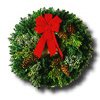 Eternal Noel - 15ml